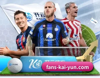 开云体育的故事 | kaiyun